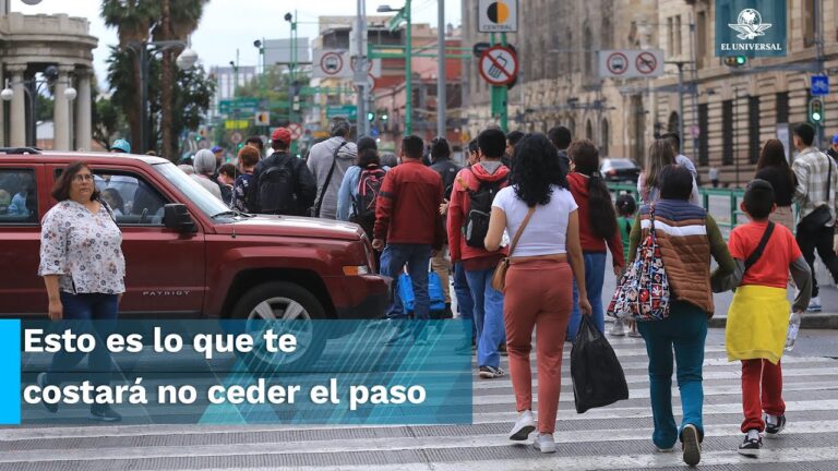 Opciones para enfrentar multas impagables en Alc&aacute;ntara