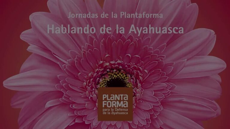 Talleres de Yoga en Jarandilla de la Vera: Gu&iacute;a Completa