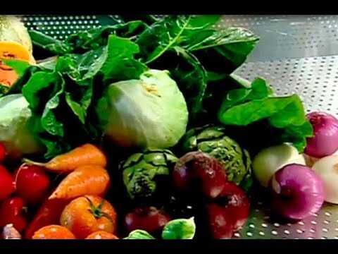 Guía para Comprar Semillas Ecológicas en Hervás