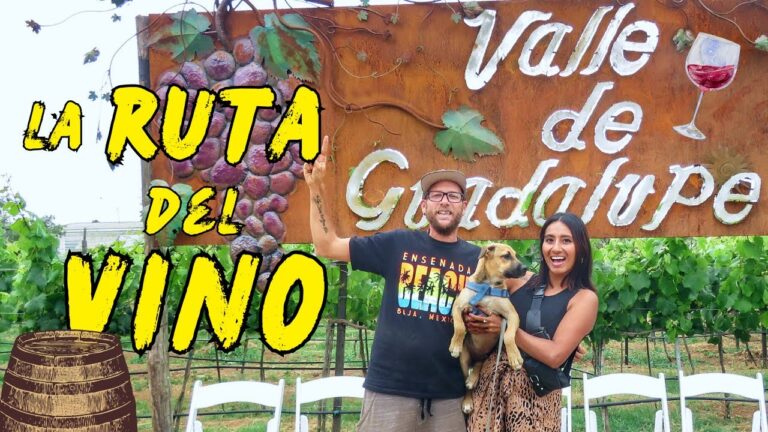 Mejores lugares para disfrutar de la noche en Guadalupe
