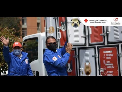 Servicios de Guarder&iacute;a para Mascotas en Trujillo: Opciones y Beneficios